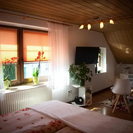 Gaestezimmer Im Gruenen Haus * Thum