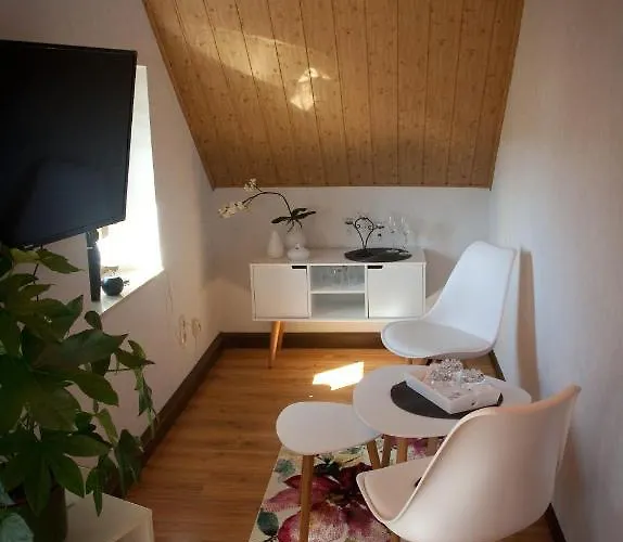 Gaestezimmer Im Gruenen Haus ホームステイ Thum